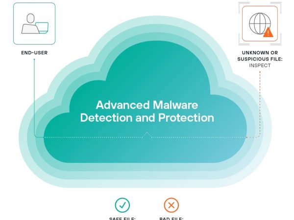 Advanced malware detection and removal